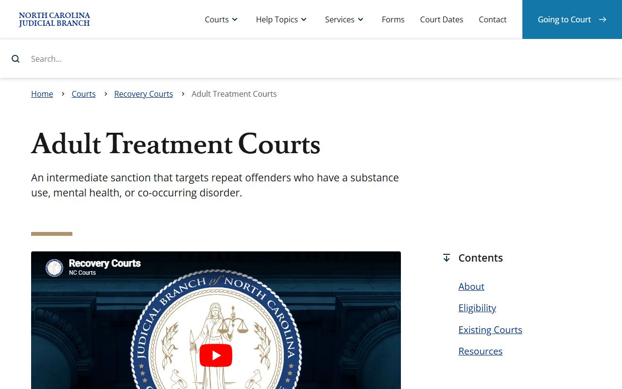 Mecklenburg County court dockets adult treatment court information
