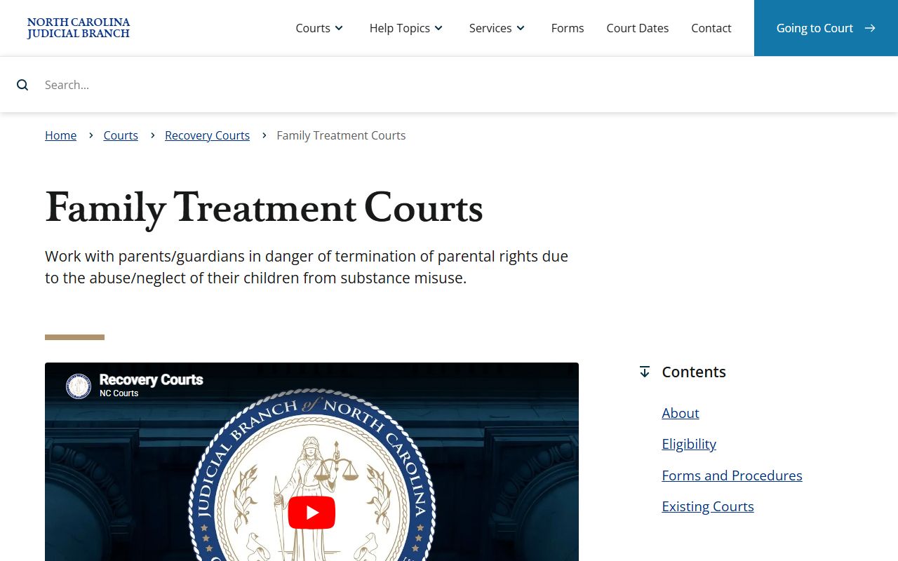 Mecklenburg County court dockets family treatment court information
