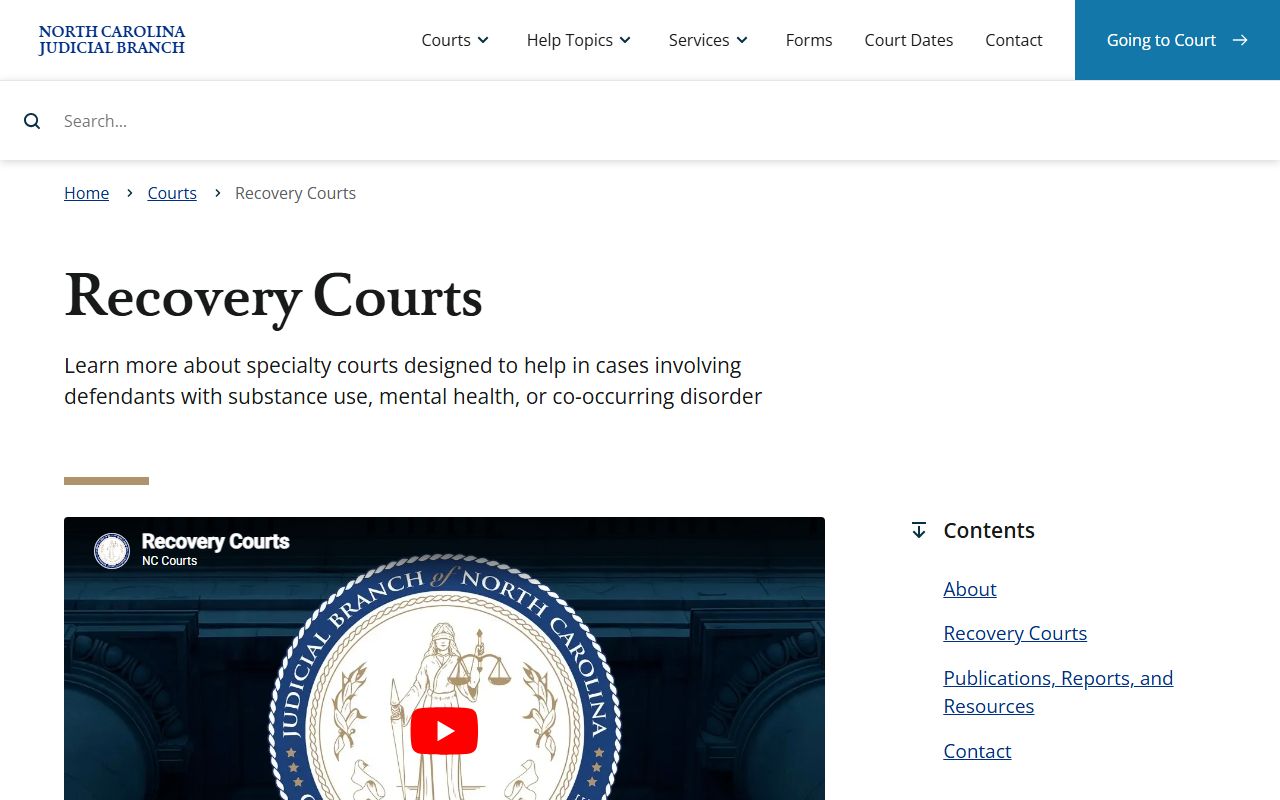 Mecklenburg County court dockets recovery courts overview