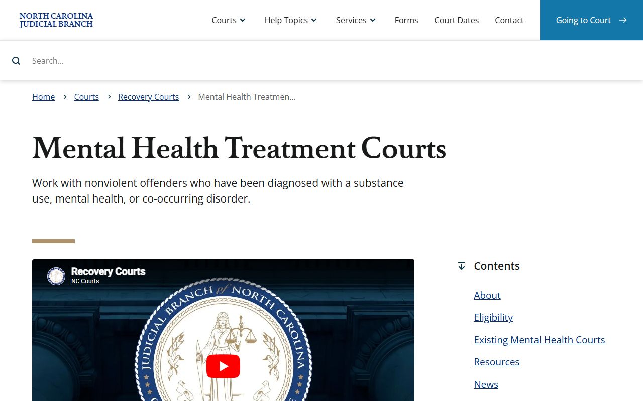 Mecklenburg County Superior Court and District Court mental health treatment court records