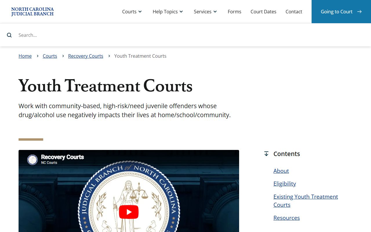 Mecklenburg County Superior Court and District Court youth treatment court records